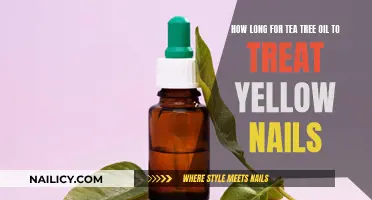 Tea Tree Oil Treatment for Yellow Nails: How Long Does It Take?