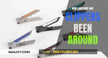 The Evolution of Nail Clippers: A Historical Overview