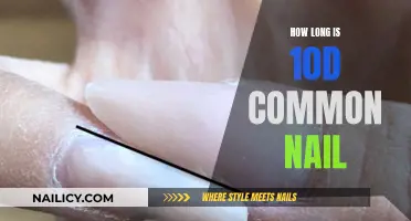 The Standard Length of a Common Nail