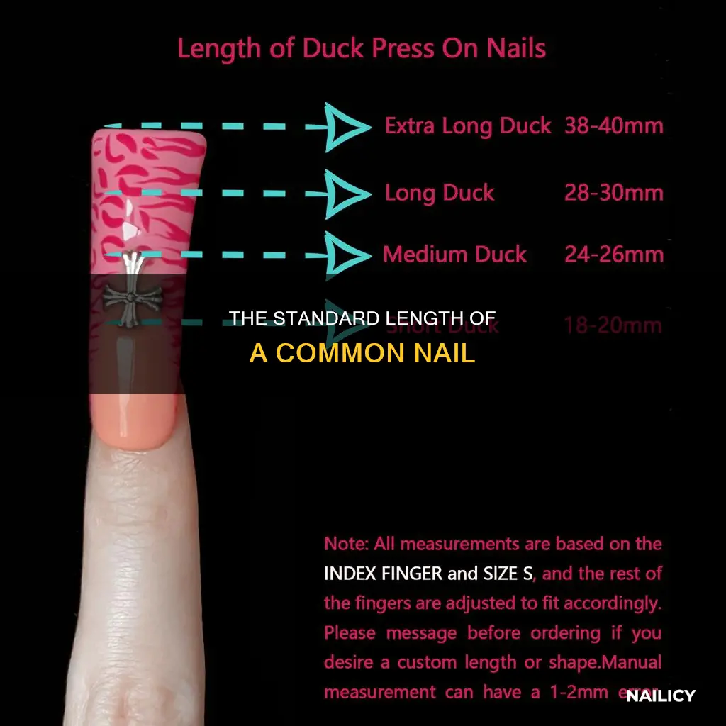 how long is 10d common nail