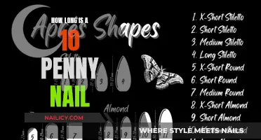 The Standard 10d Nail: Length and Specifications