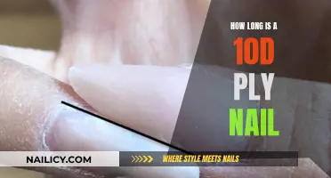 The Perfect Nail: 10d Ply's Length Revealed