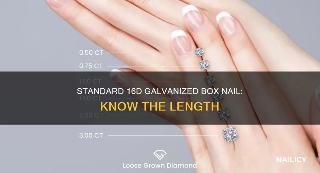 how long is a 16d galvanized box nail