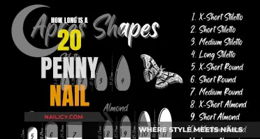 The Length of a 20-Penny Nail Explained