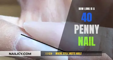 The Length of a 40 Penny Nail Explained