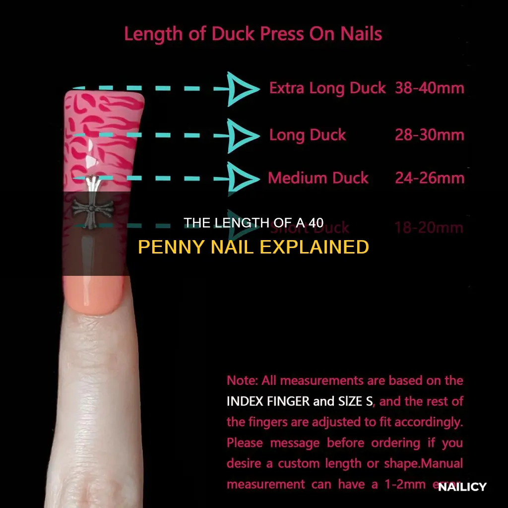 how long is a 40 penny nail