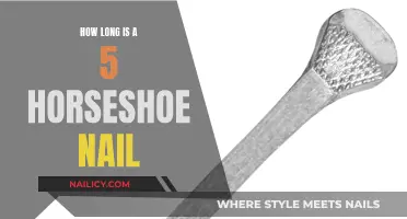 Standard Horseshoe Nails: Length and Other Facts