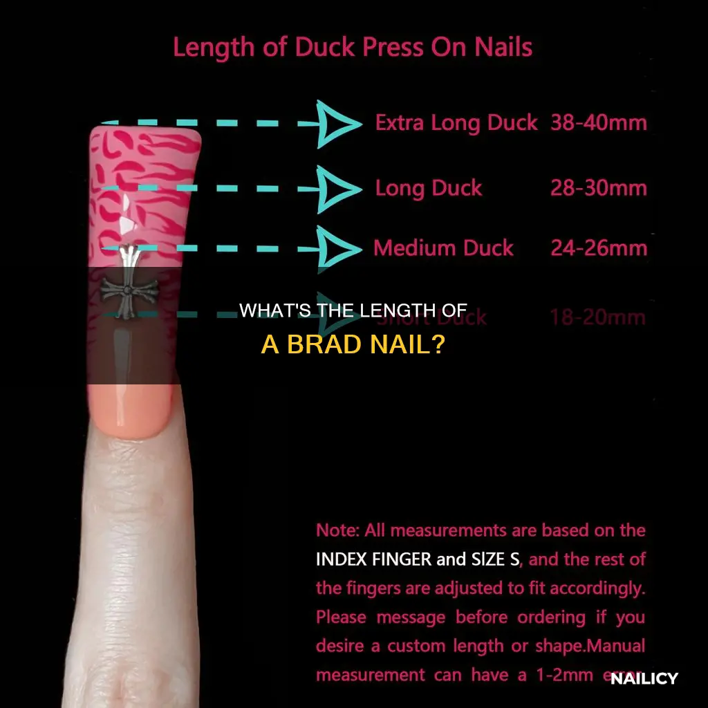 how long is a brad nail