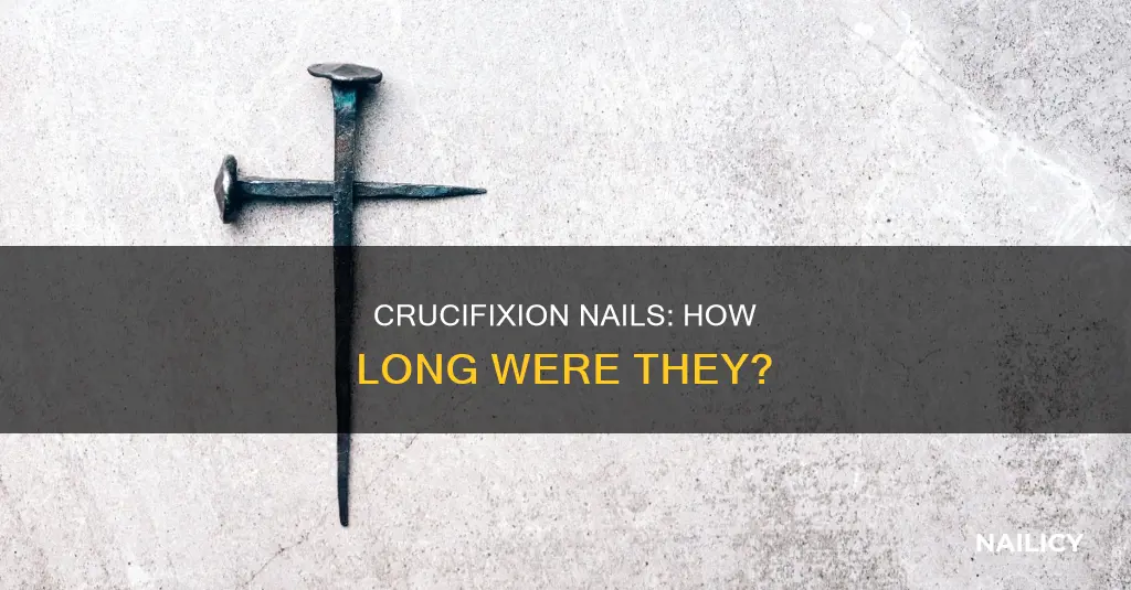 how long is a crucifixion nail