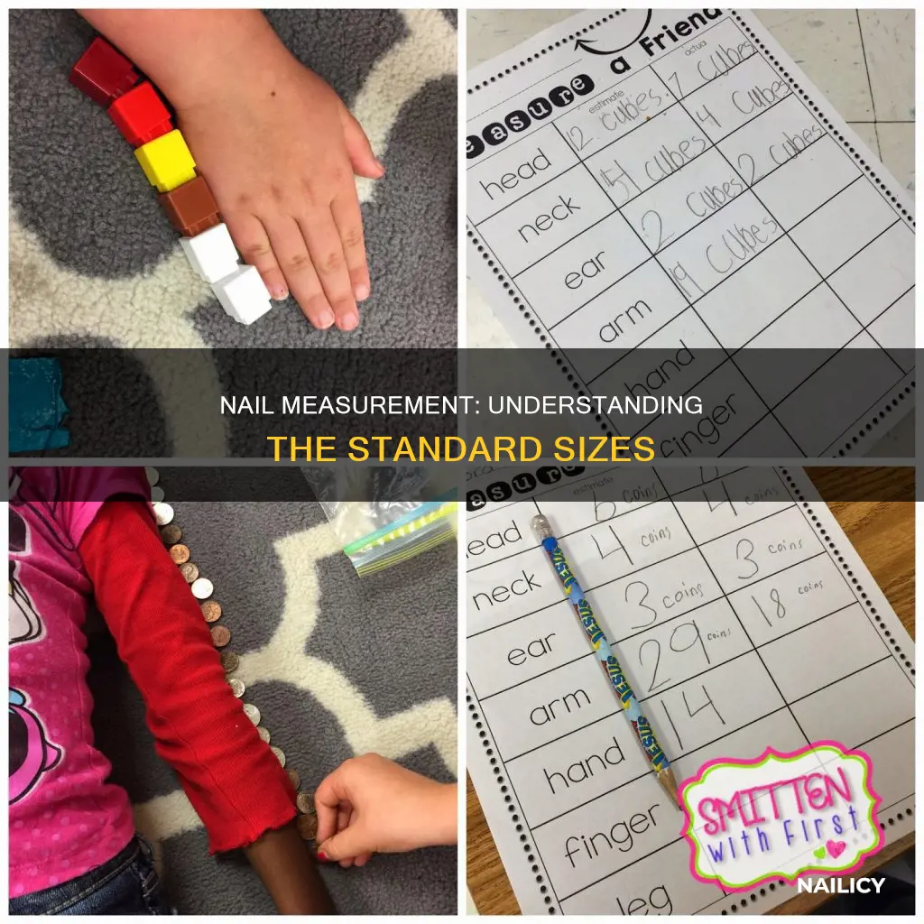 how long is a nail measurement
