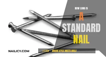 The Standard Nail: Length and Width Essentials