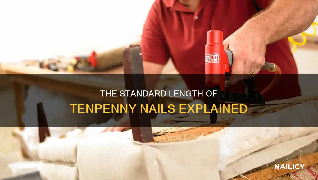 how long is a tenpenny nail