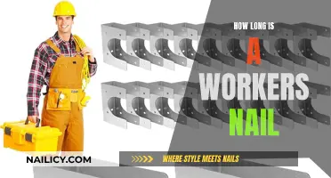 The Ideal Nail Length for Working Professionals