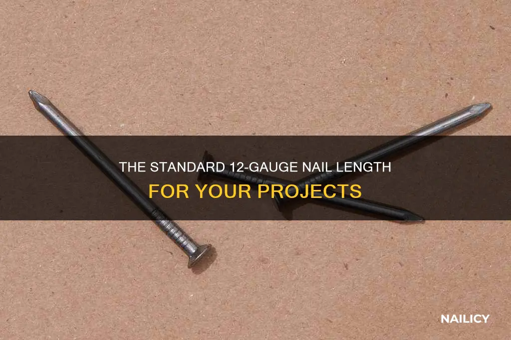 how long is an 12 gauge nail