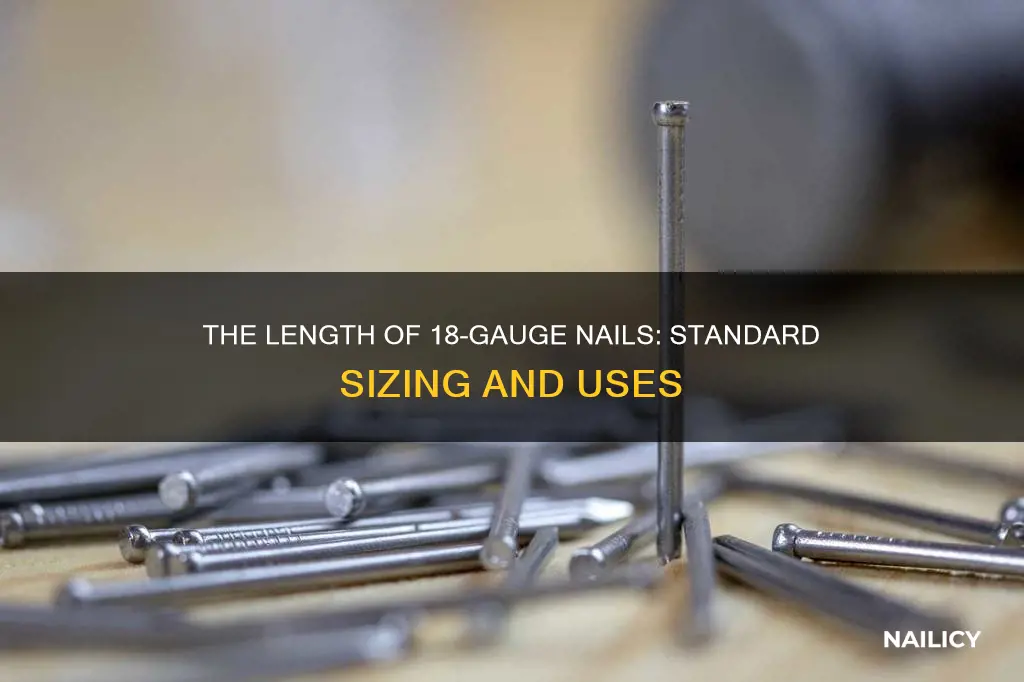 how long is an 18gauge nail