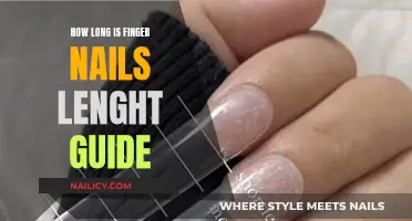 The Ultimate Guide to Nail Lengths: How Long Is Too Long?