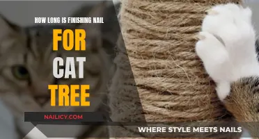 Choosing the Right Finishing Nail Length for Cat Trees