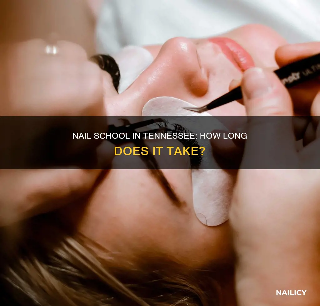 how long is nail school in tennessee
