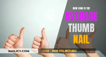 The Thumbnail's Length: An Average Thumb's Nail Size
