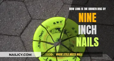 The Length of Nine Inch Nails' Broken Album