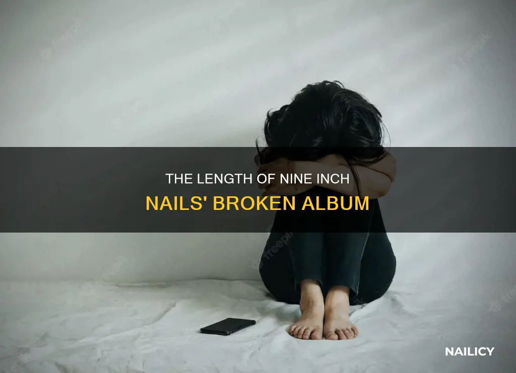 how long is the broken disc by nine inch nails