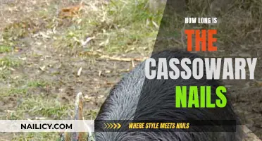 Cassowary Nails: Surprisingly Long and Sharp