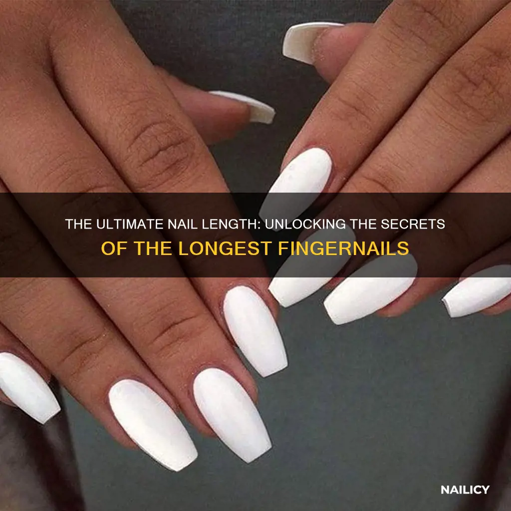 how long is the longest finger nail