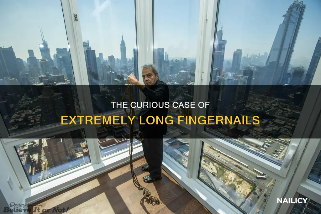 how long is the longest finger nail