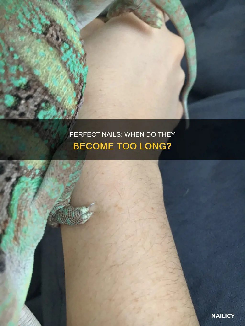 how long is too l9ng nails