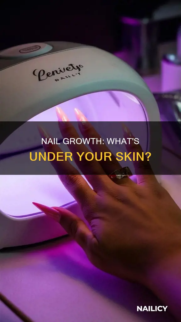 how long is your nail under your skin
