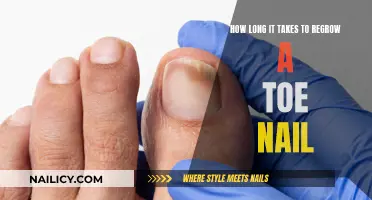 Regrowing Toenails: The Timeline of Recovery