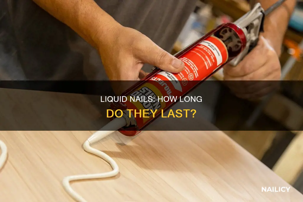 how long liquid nails last