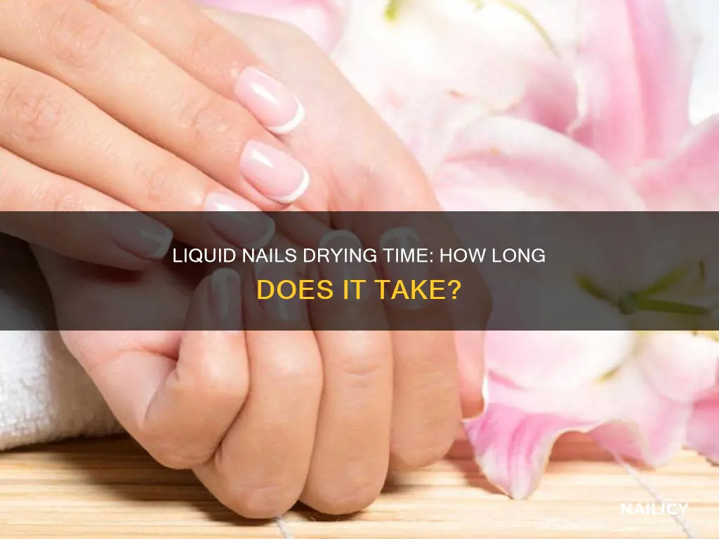 how long liquid nails take to dry