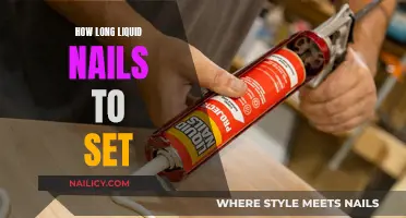 Liquid Nails: Drying Time and Setting Expectations