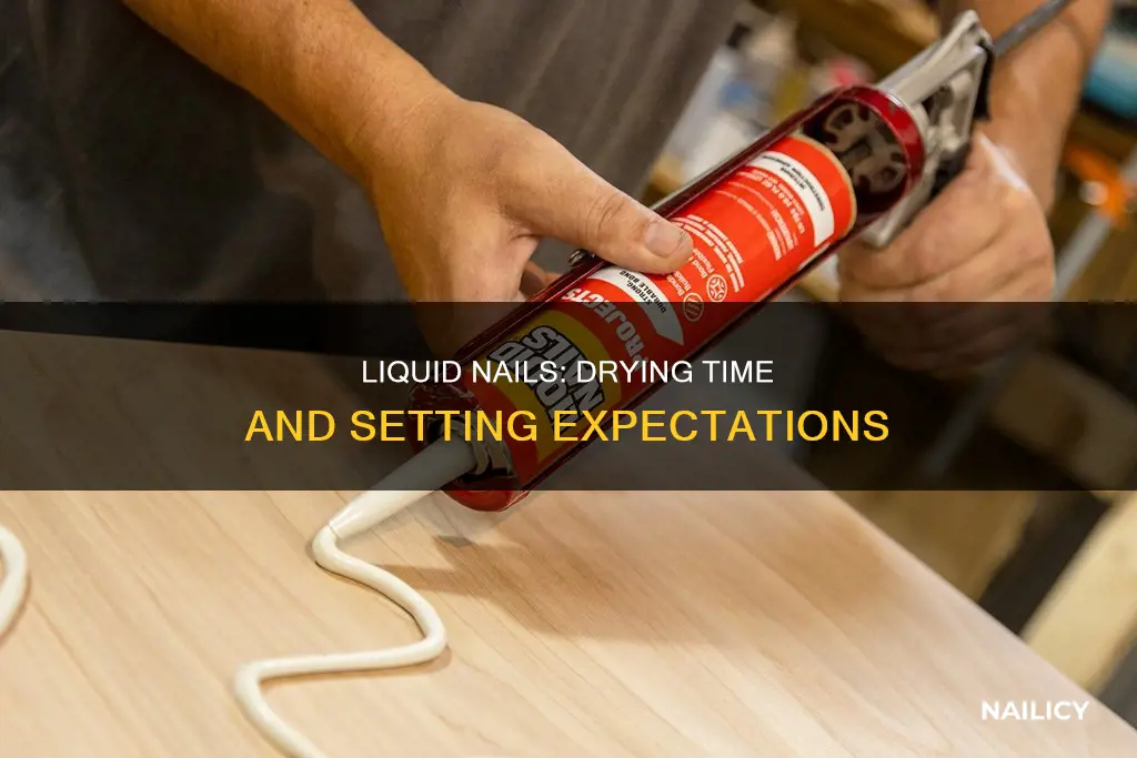 how long liquid nails to set
