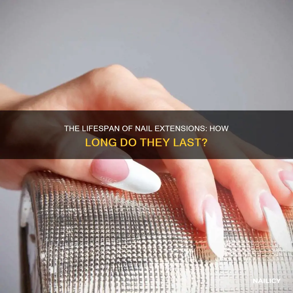 how long nail extension last