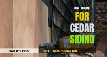 Choosing the Right Nails for Cedar Siding