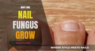 Battling Nail Fungus: How Long Does It Take to Grow?