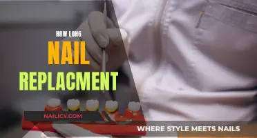 Nail Replacement: The Healing Process and Timeframe