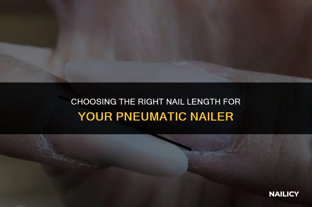 how long nail to use in nailer