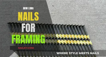 The Right Length of Nails for Framing