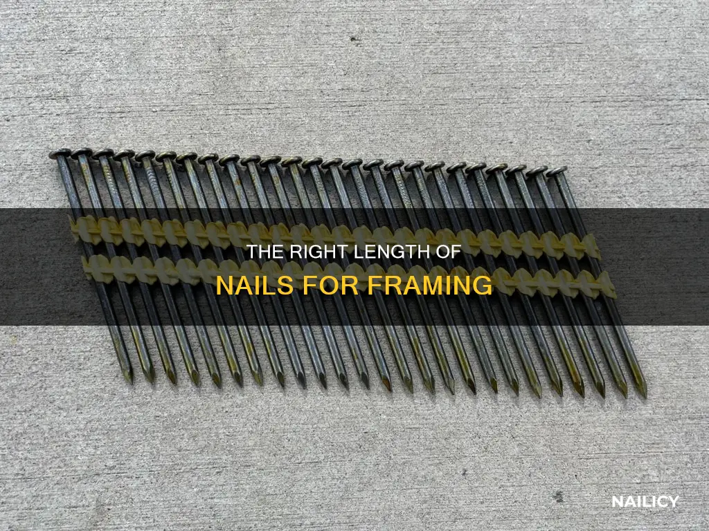 how long nails for framing