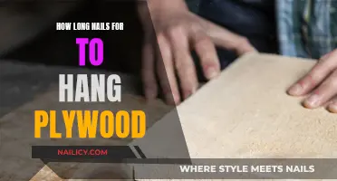 Choosing the Right Nails for Plywood Hanging