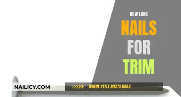 The Perfect Nail Trim: How Long Should Nails Be?