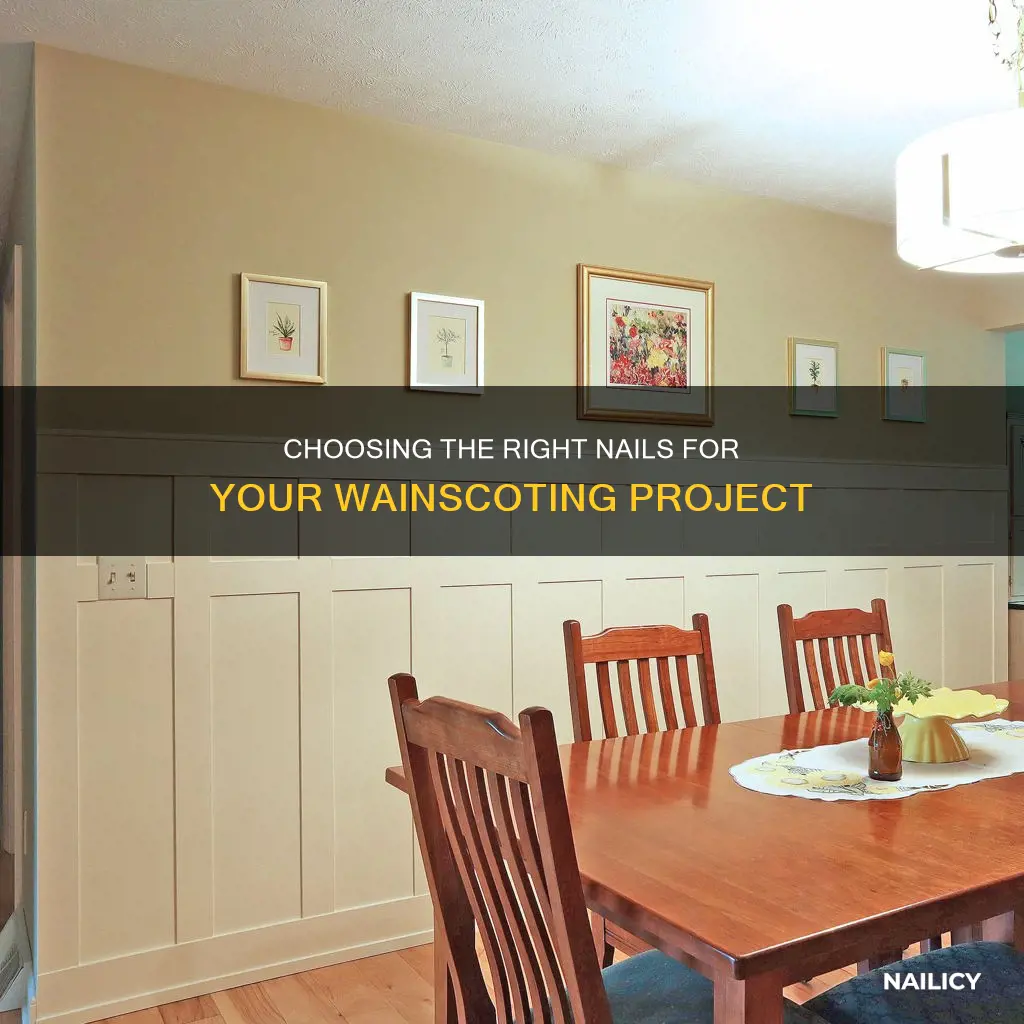 how long nails for wainscoting