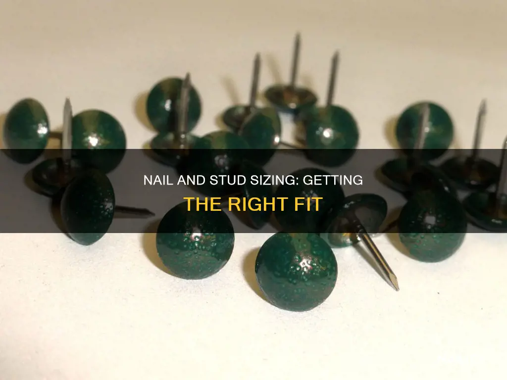 how long nails go into studs
