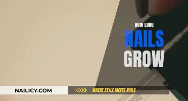 The Intriguing Growth Process of Fingernails