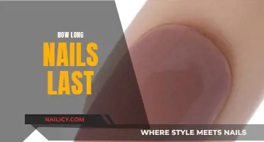 The Longevity of Nails: How Long Do They Last?