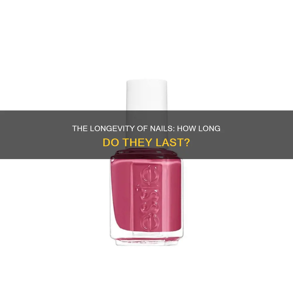 how long nails last
