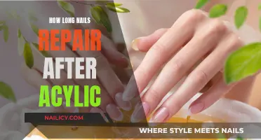 Regrowing Nails: The Post-Acylic Recovery Timeline